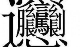 娱乐吃瓜君四字小花,娱乐吃瓜君揭秘娱乐圈小花背后的故事