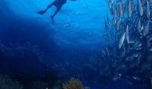 一线吃瓜by海底见月小说免费阅读,海底见月小说免费阅读，揭秘娱乐圈风云