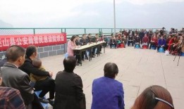 镇平爆料传销案件最新情况,警方重拳出击，涉案人员落网情况揭晓